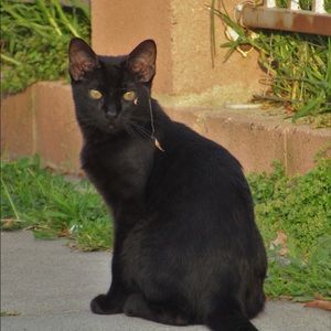 Meet your Posher, Thanh